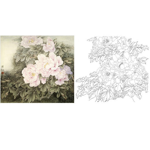 万一工笔花鸟牡丹白描底稿-《幕》斗方小品册页-多种白描尺寸可选-WT08 商品图0