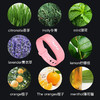 【天然植物驱蚊手环】卡通固体硅胶成人儿童夏日户外防蚊虫神器（送2个替换装） 商品缩略图2