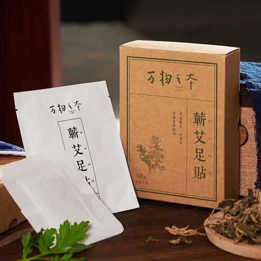 万物之本・蕲艾足贴 ， 一撕一贴，睡眠中祛湿 商品图0