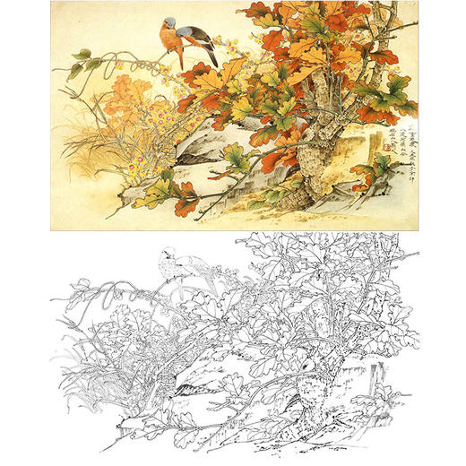 万一横幅工笔花鸟白描底稿-《霜重色浓》-多种白描尺寸可选-WT22 商品图0