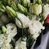 混搭洋桔梗4-6枝一扎 商品缩略图4
