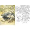 万一竖幅工笔花鸟白描底稿-《梨花春雨》-多种白描尺寸可选-WT25 商品缩略图0