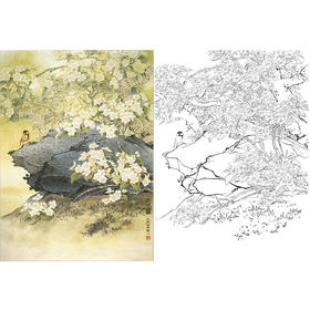 万一竖幅工笔花鸟白描底稿-《梨花春雨》-多种白描尺寸可选-WT25