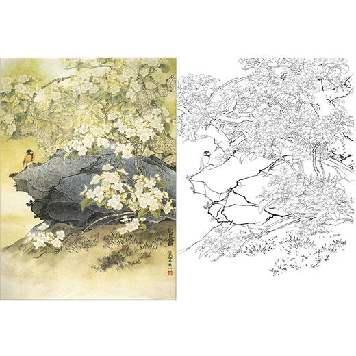 万一竖幅工笔花鸟白描底稿-《梨花春雨》-多种白描尺寸可选-WT25 商品图0