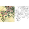 万一工笔花鸟白描底稿-紫荆-斗方小品册页-WT01 商品缩略图0