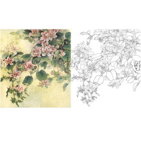 万一工笔花鸟白描底稿-紫荆-斗方小品册页-WT01