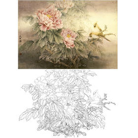 万一横幅工笔花鸟白描底稿-《雾中牡丹》-多种白描尺寸可选-WT16