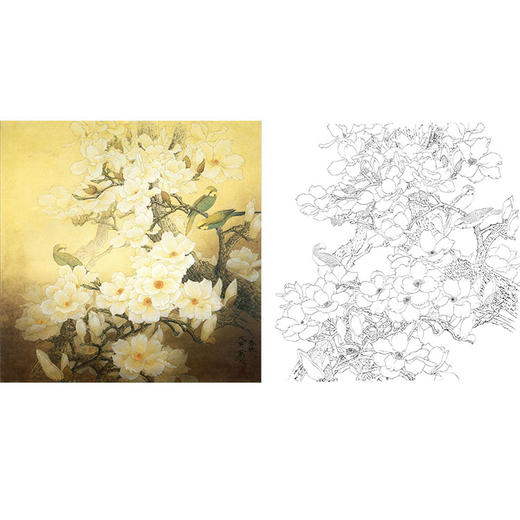 万一工笔花鸟白描底稿-玉兰花-斗方小品册页-WT12 商品图0