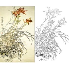 万一竖幅工笔花鸟白描底稿-《萱草》-多种白描尺寸可选-WT32