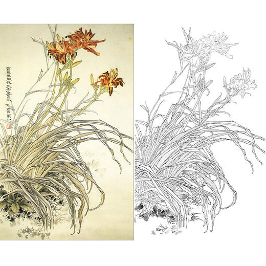 万一竖幅工笔花鸟白描底稿-《萱草》-多种白描尺寸可选-WT32 商品图0