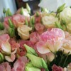 混搭洋桔梗4-6枝一扎 商品缩略图3