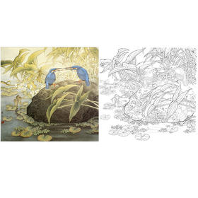万一工笔花鸟白描底稿《争夺》斗方小品册页-多种白描尺寸可选-WT13