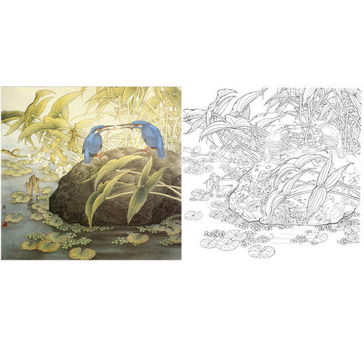 万一工笔花鸟白描底稿《争夺》斗方小品册页-多种白描尺寸可选-WT13 商品图0