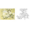 万一工笔花鸟白描底稿-梨花-斗方小品册页-WT04 商品缩略图0