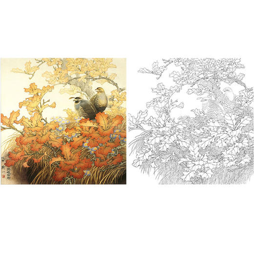 万一工笔花鸟白描底稿-《深秋余韵》斗方小品册页-多种白描尺寸可选-WT10 商品图0