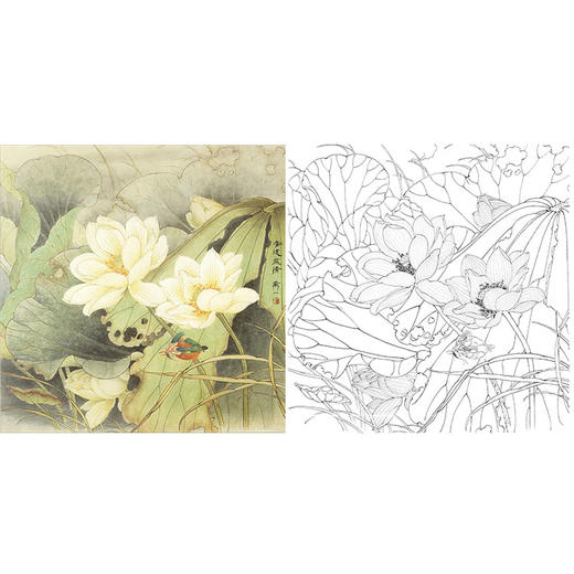 万一工笔花鸟白描底稿-《香远益清》斗方小品册页-多种白描尺寸可选-WT05 商品图0