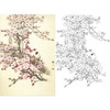 万一竖幅工笔花鸟白描底稿-花鸟-WT26 商品缩略图0