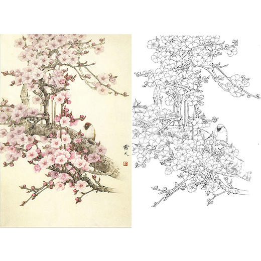 万一竖幅工笔花鸟白描底稿-花鸟-WT26 商品图0