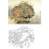 万一工笔花鸟白描底稿-《秋之晨》斗方小品册页-多种白描尺寸可选-WT14 商品缩略图0