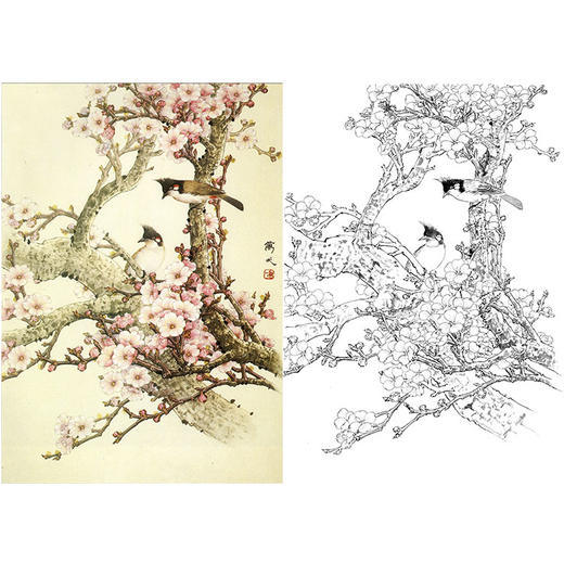 万一竖幅工笔花鸟白描底稿-杏花-WT33 商品图0