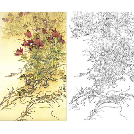 万一竖幅工笔花鸟白描底稿-《山花催春》-多种白描尺寸可选-WT31 商品图0