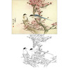 万一工笔花鸟白描底稿-灰雀梅花-斗方小品册页-WT15 商品缩略图0