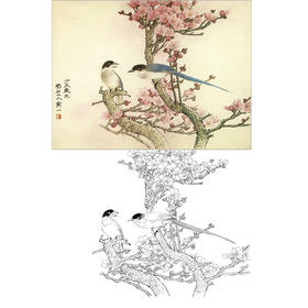 万一工笔花鸟白描底稿-灰雀梅花-斗方小品册页-WT15