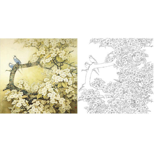 万一工笔花鸟白描底稿-梨花-斗方小品册页-WT06 商品图0