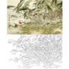 万一横幅工笔花鸟白描底稿-翠鸟-WT21 商品缩略图0