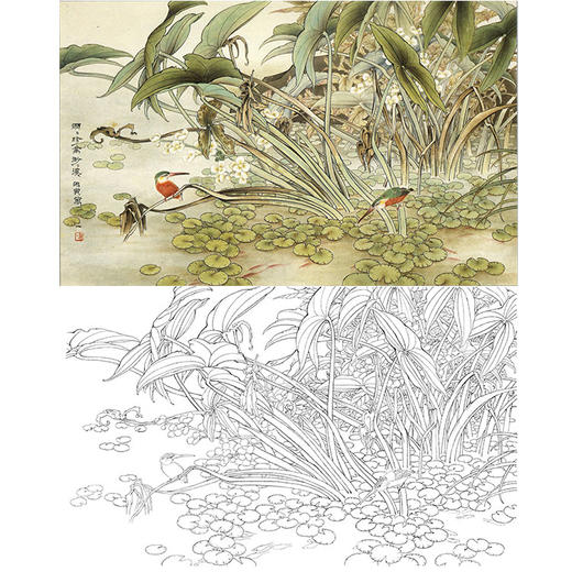 万一横幅工笔花鸟白描底稿-翠鸟-WT21 商品图0