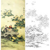 万一竖幅工笔花鸟白描底稿-《无暇》-多种白描尺寸可选-WT35 商品缩略图0