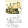 万一工笔花鸟白描底稿-南瓜-斗方小品册页-WT19 商品缩略图0
