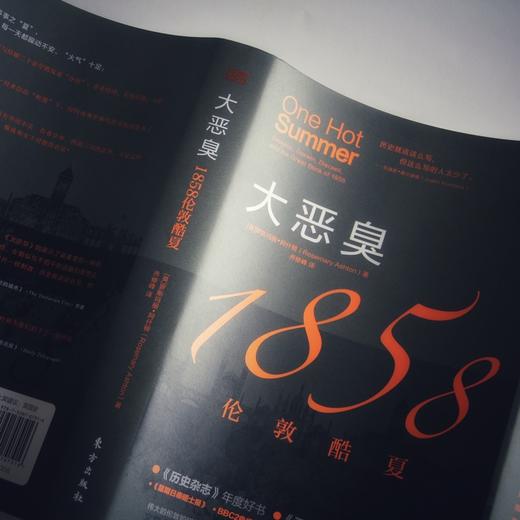 大恶臭：1858伦敦酷夏 商品图3