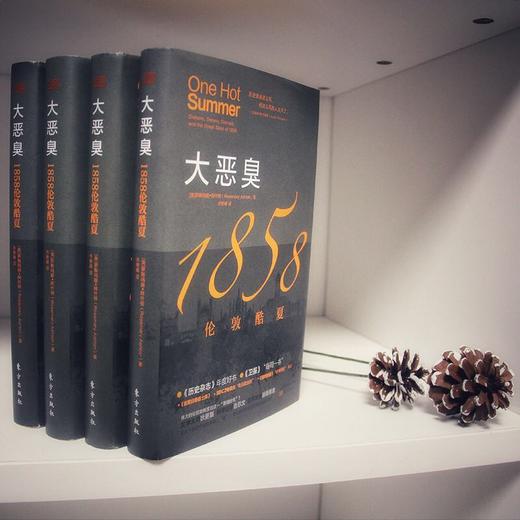 大恶臭：1858伦敦酷夏 商品图8