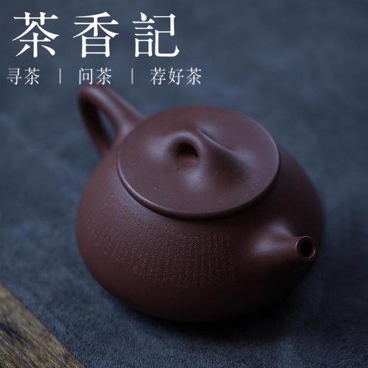 茶香记 朱泥微雕紫砂壶 心经 陋室铭 国工范晓丽  茶壶 功夫茶具 商品图1