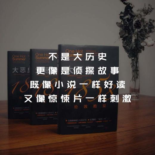 大恶臭：1858伦敦酷夏 商品图10