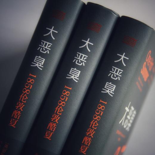 大恶臭：1858伦敦酷夏 商品图4