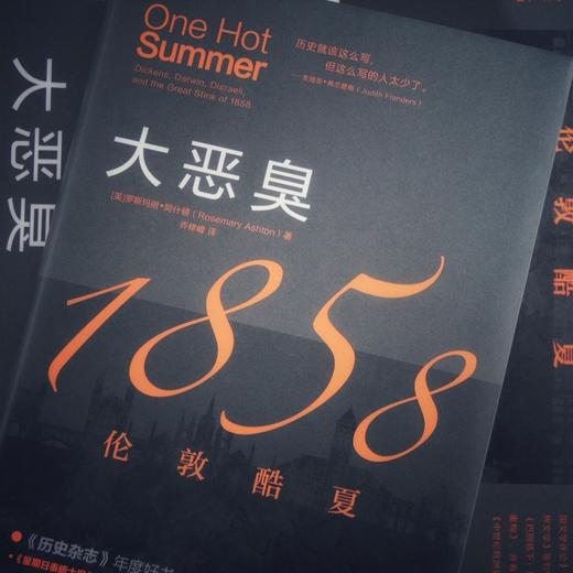 大恶臭：1858伦敦酷夏 商品图1