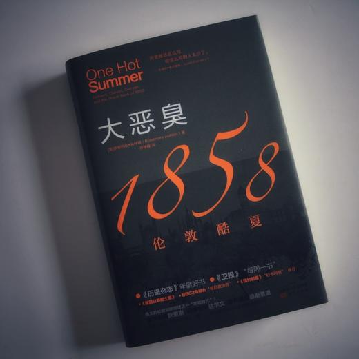 大恶臭：1858伦敦酷夏 商品图6