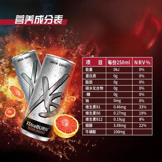 XS加燃营养饮料/250mlx6罐/两种口味/ 商品图7