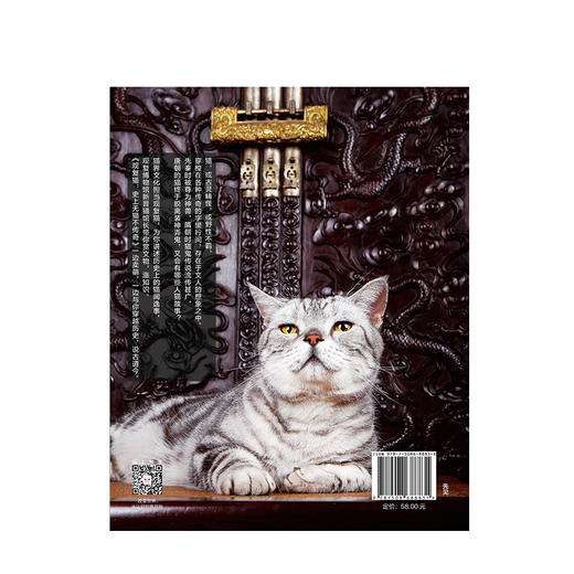 观复猫 史上无猫不传奇 马未都 著 中信出版社图书 正版书籍 商品图4