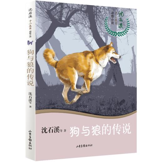 沈石溪十二生肖动物小说《狗与狼的传说》：四五六年级小学生 8-12岁必读课外书籍 图书故事书畅销书 睡前故事儿童文学读物 商品图0