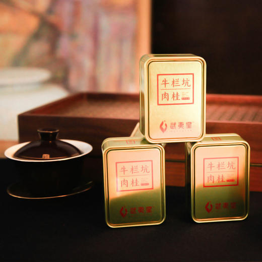 武夷星 不可思议 牛栏坑肉桂 礼盒装85g 商品图5
