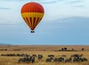 坦桑尼亚热气球游猎safari 预订&攻略  坦桑尼亚小地球旅行 商品缩略图0
