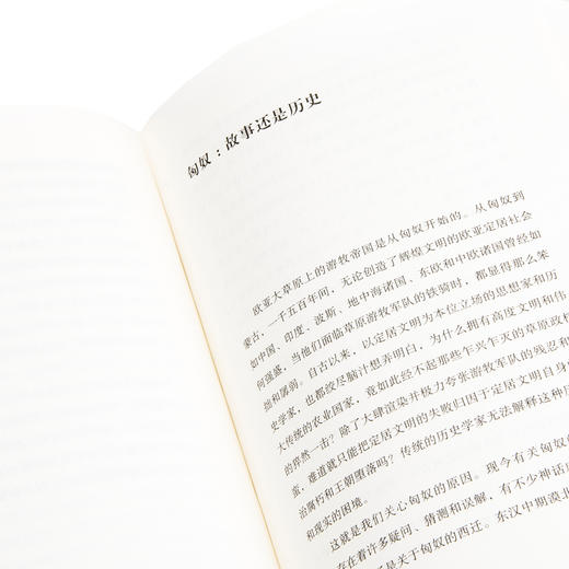 有所不为的反叛者：批判、怀疑与想象力  罗新 商品图3