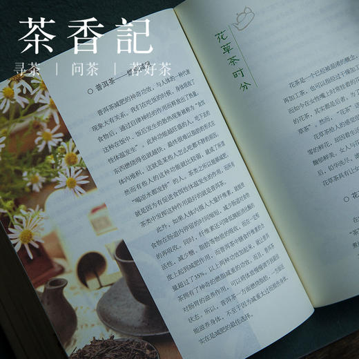 茶香记 《美人美茶》   湖南美术出版社 《优雅中国》系列丛书 传统文化 茶文化 商品图3