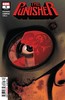 惩罚者 V12 主刊 Punisher V12（2018）普封 商品缩略图6