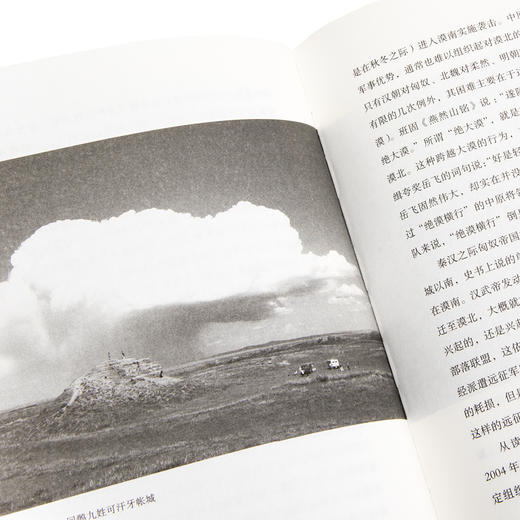 有所不为的反叛者：批判、怀疑与想象力  罗新 商品图4