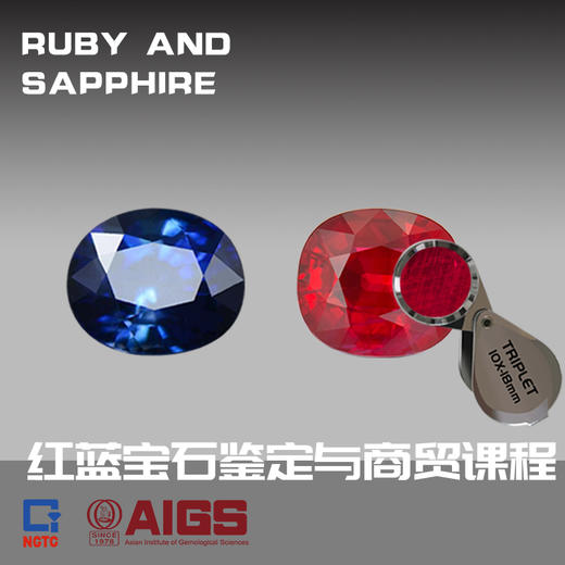 NGTC-AIGS红蓝宝石鉴定与商贸课程 商品图0