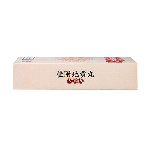 北京同仁堂桂附地黄丸9g*10丸补肾阳虚不足腰膝酸软尿频小便不利 商品图4